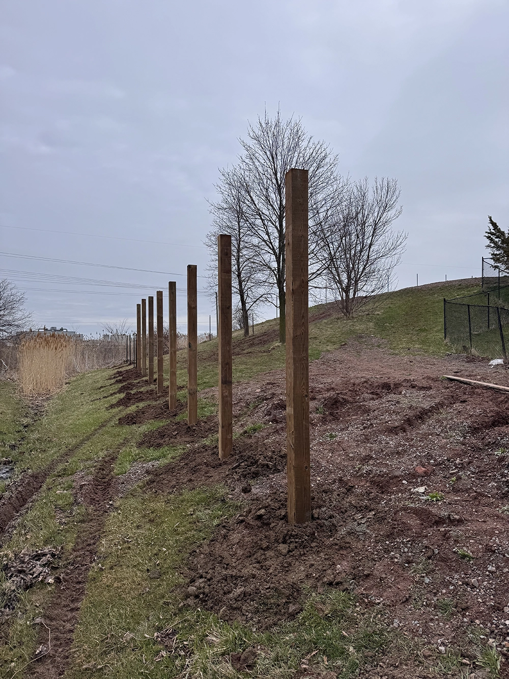 Row of wooden fence posts set in ground for residential fence installation in Guelph Ontario