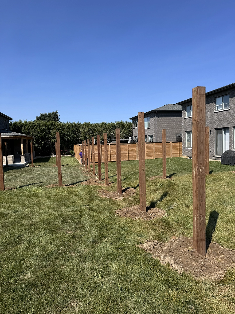 Row of treated fence posts installed across new residential development in Haldimand County with houses in background