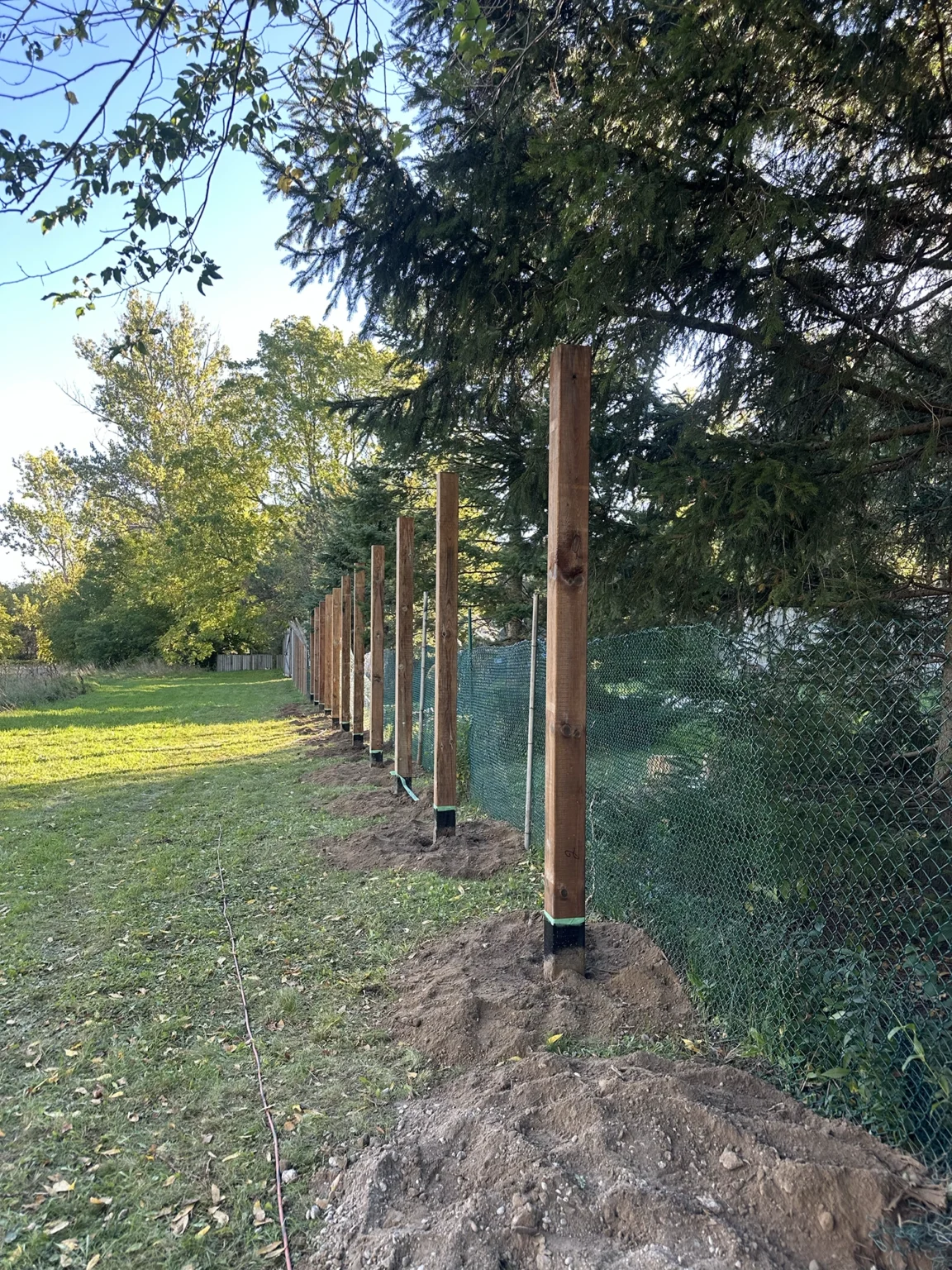 Bednarz post hole digging project in Markham showing vertical wooden posts set for privacy fence with trees lining property