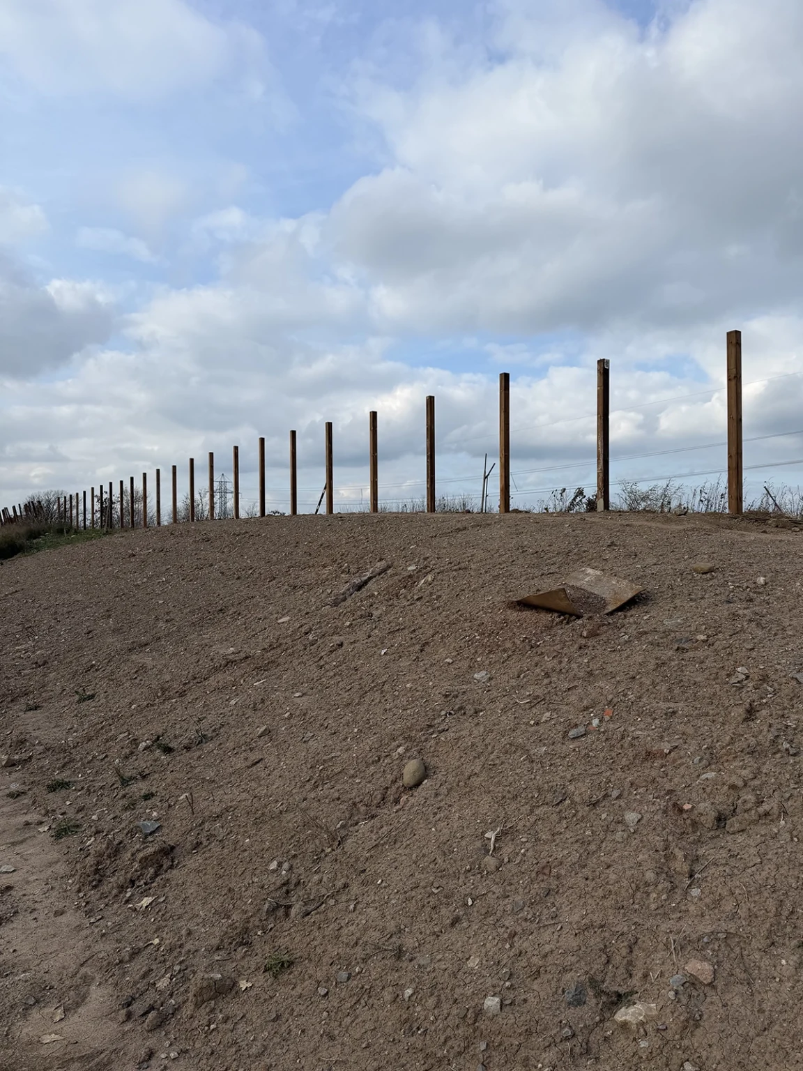 Row of fence posts set in sandy soil ready for concrete and wood fencing in Hamilton