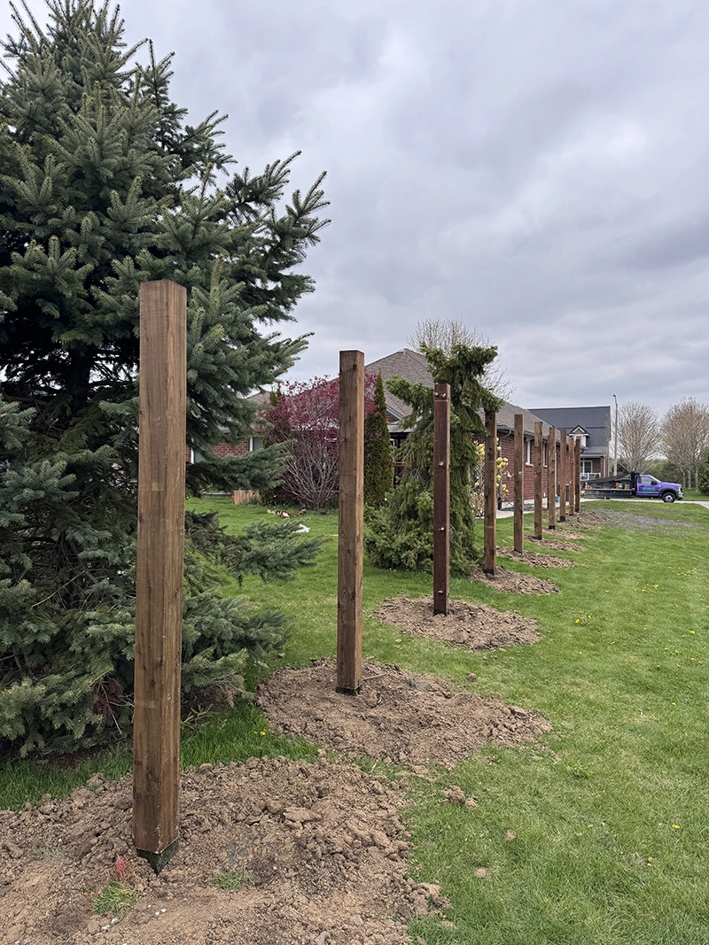 Fence post installation project in Toronto Ontario with multiple posts professionally aligned for residential fence build