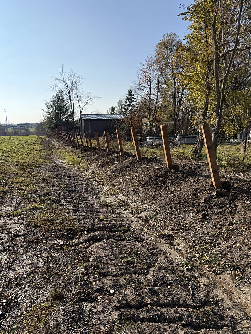 Residential fence line installation in Waterloo Ontario with multiple posts set for property perimeter in manicured yard